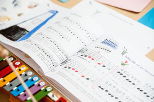 中国米兰官方-中小学体育教师继续教育体系建设与实施研究，小学体育继续教育考试试题及答案