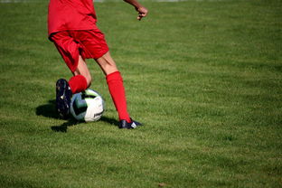 米兰体育(中国大陆)官网-中国青少年篮球运动员伤病防控体系建设，青少年篮球训练现状分析