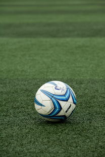 MILAN SPORTS中国站-高校体育赛事应急管理体系构建，体育赛事应急预案细则